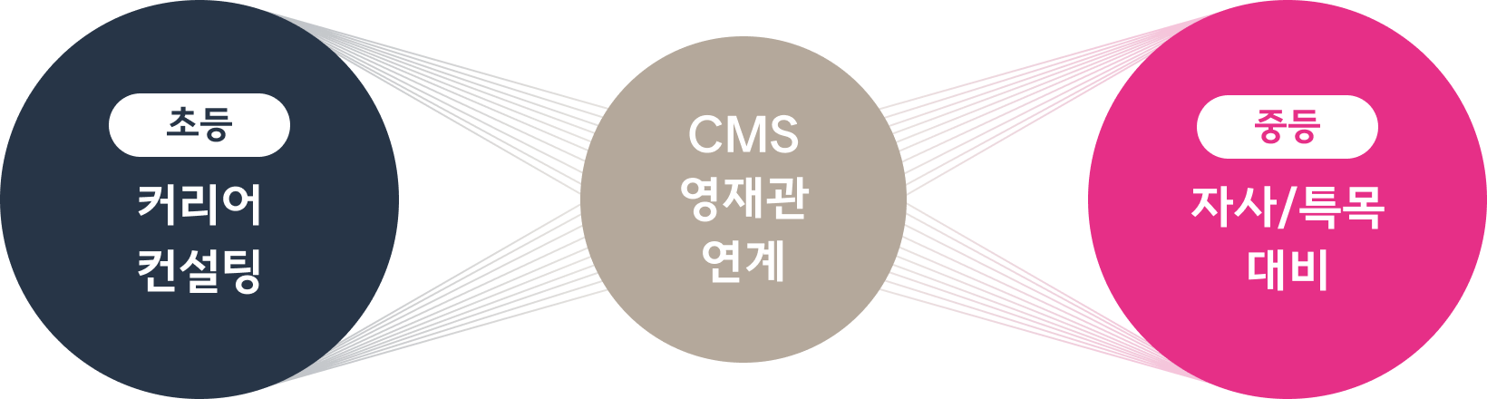 로드맵 컨설팅 시스템 : 초등 커리어 컨설팅, CMS 영재관 연계, 중등 자사/특목 대비