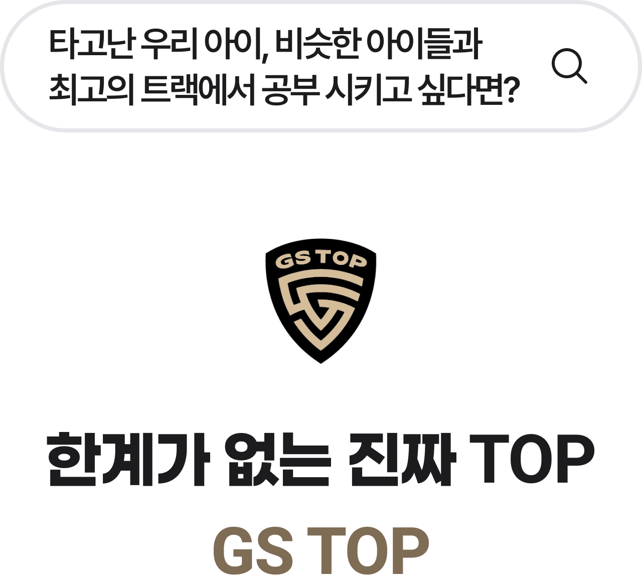 한계가 없는 진짜 TOP GS TOP